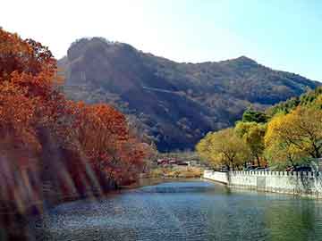 新澳天天开奖资料大全旅游团，圆钢标准